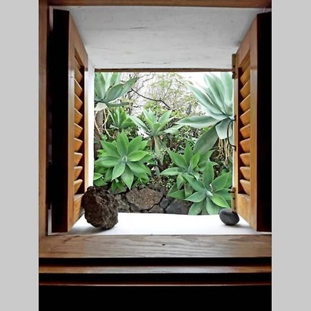 Casa Ágave 1 Villa Frontera Esterno foto