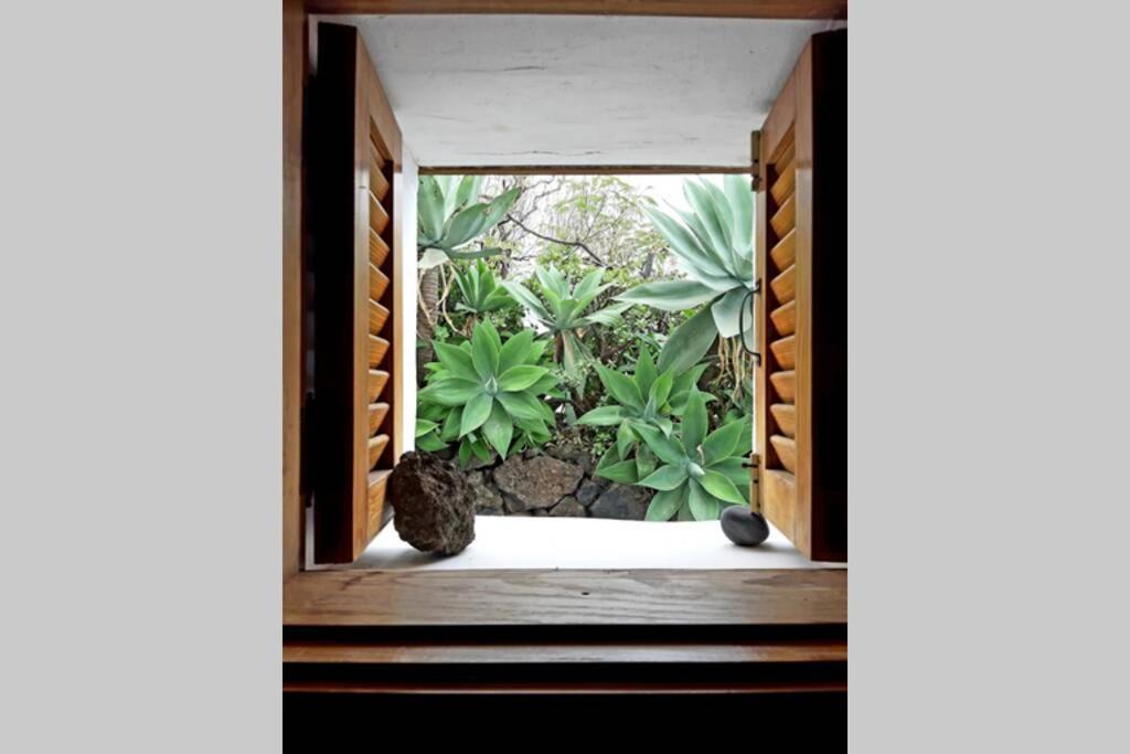 Casa Ágave 1 Villa Frontera Esterno foto
